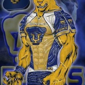 Meet your Posher, Tomas